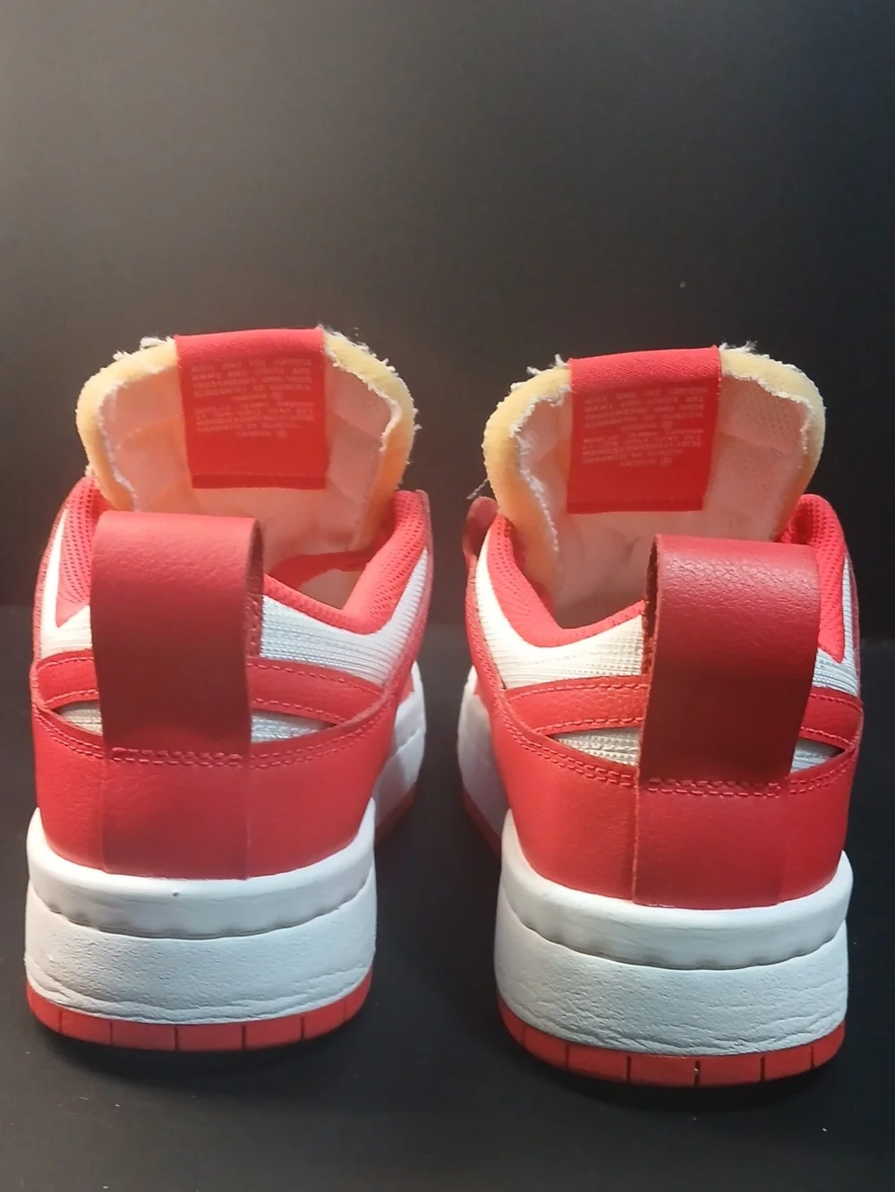 Nike Dunk Low Disrupt 